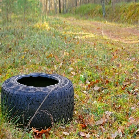 Somebody threw garbage in the forest. Stock Footage 69489046