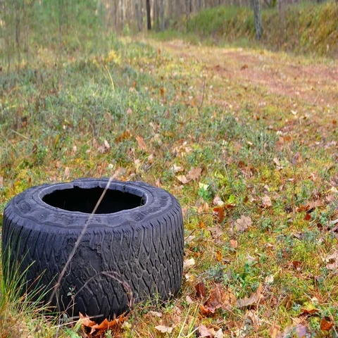 Somebody threw garbage in the forest. Stock Footage 69489628