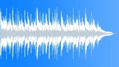 Someday 15 SEC NO LEADStock Music