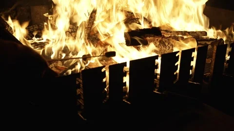 Someone Burning Marshmallows on a Campfire Stock Footage 310861812
