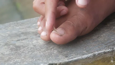 Someone is cutting toenails using a metal nail clipper Stock Footage 333342848
