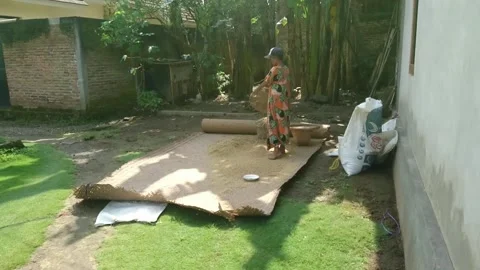 Someone is drying rice. Stock Footage 150858662
