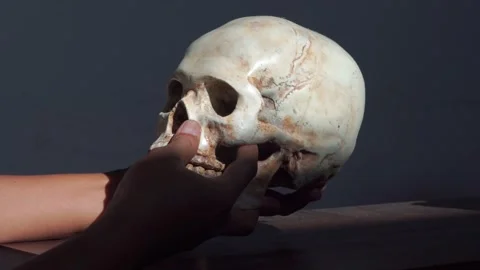 Someone is examining the human skull carefully Stock Footage 205546168