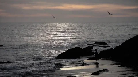 Someone fishing at the beach Stock Footage 83162076