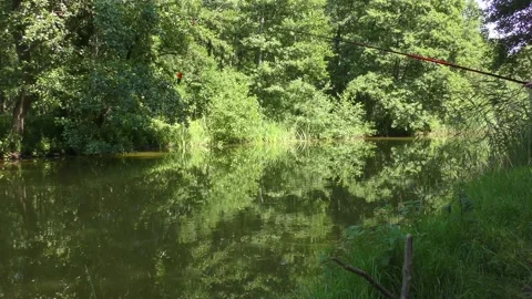 Someone is fishing on a small river that flows quietly through a green forest Video stock 135865290