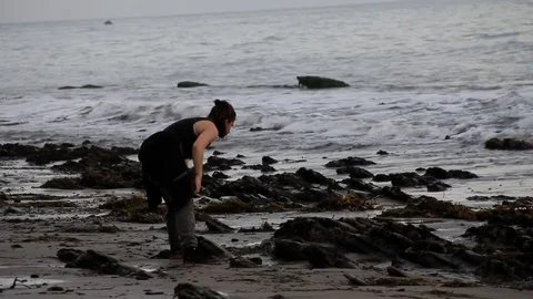 Someone found a shell Stock Footage 83165618
