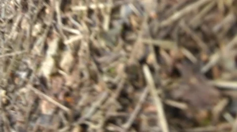 Someone gets up in the woods(pov) Vídeos de archivo 47399161