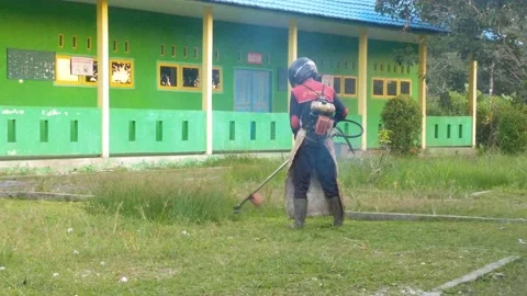 Someone mowing the grass with a machine Stock Footage 219605950