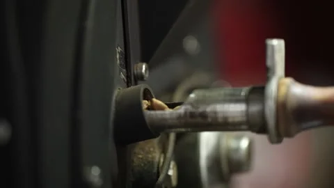 Someone is observing the maturity level of coffee Stock Footage 262403727