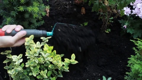 Someone paves the potting soil 動画素材 71925881