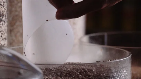 Someone picking grain from a container in slow motion Video stock 128017866