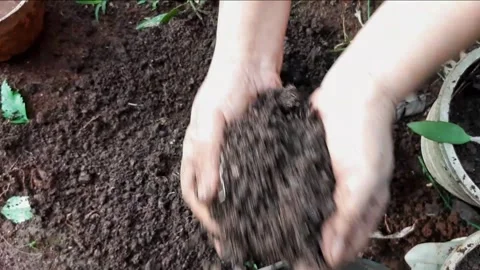 Someone is planting plants into a pot using soil and compost as fertilizer Stock Footage 285834503