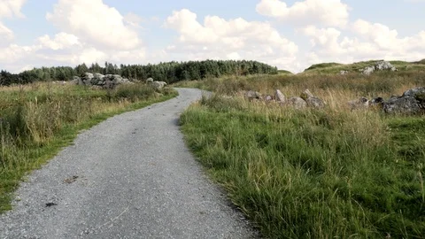 Someone quickly moves or runs on narrow asphalt path in the field, approaching Stock Footage 88445247