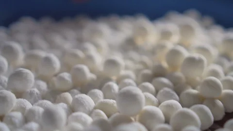 Someone shaking white ball made from flour and water. Slow motion Stock Footage 114313967