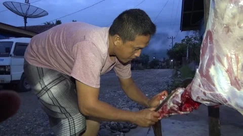 Someone skinned a freshly slaughtered goat Stock Footage 199024571