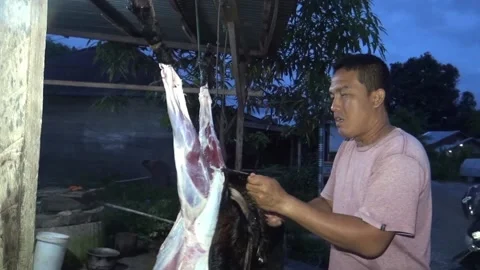 Someone skinned a freshly slaughtered goat Stock Footage 199024698