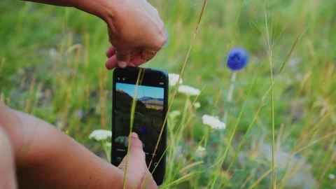 Someone takes a video of distant mountains among tall grass and wildflowers Stockbeeldmateriaal 333099878