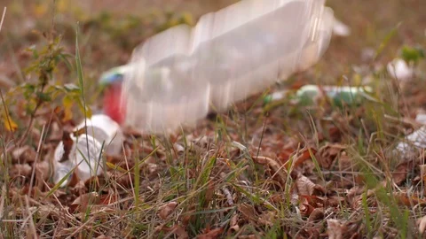 Someone throws a plastic bottle on nature Stock Footage 101435845