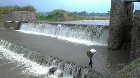 Someone is trying to cross the stream from the waterfall 動画素材 205110439