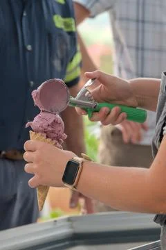 Someone using a green handled ice cream scoop to dip purple raspberry flavo.. 스톡 사진