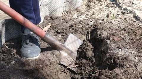 Someone using shovel to dig a hole for planting  tree Stock Footage 168158573