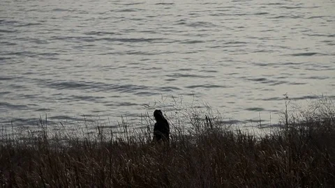 Someone walking down to the water Stock Footage 83138094
