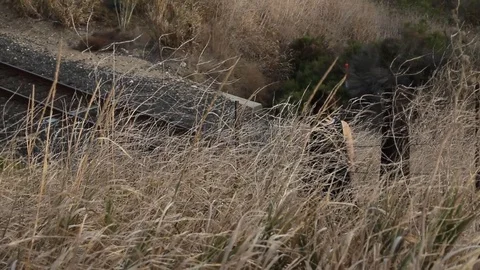 Someone walking downhill Stock Footage 83136715