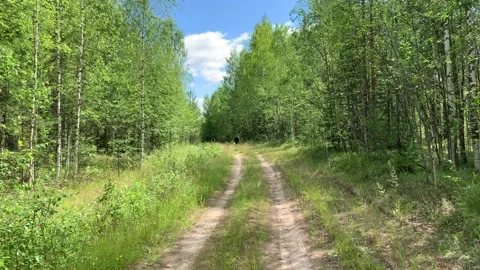 Someone walking on the road in the forest park summer Stock Footage 201674927
