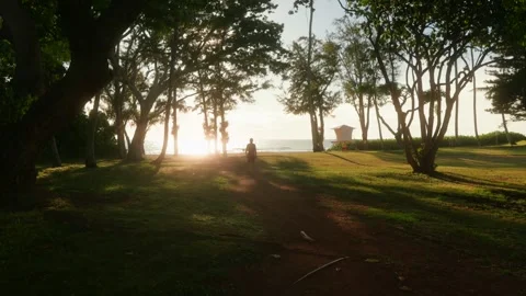 Someone walking towards the beach at sunset and raising their arms, North Shore Vidéo 307918093