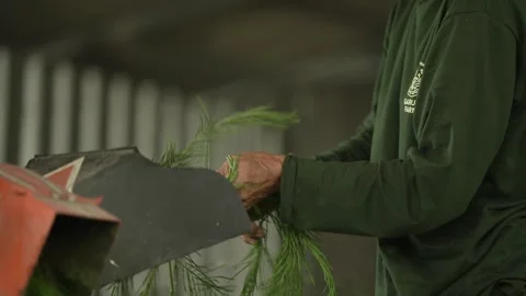 Someone was loading leaves into a grinding machine Stock Footage 263698050
