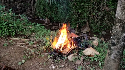 Someone's activity is burning dry leaf trash Stock Footage 237789991