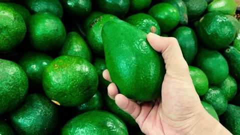 Someone's hand is picking a ripe avocado at the local market Stock Footage 217514655