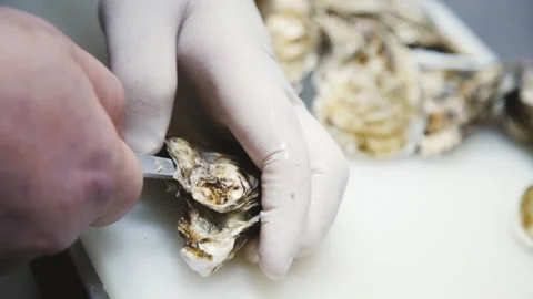 Someone's opening an oyster. Stock Footage 131412157