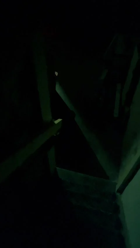 Something in the basement Stock Footage 279522601