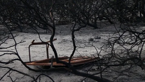 Something burned in the fire Stock Footage 94255107