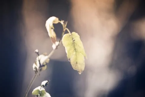 Something in Dark 스톡 사진