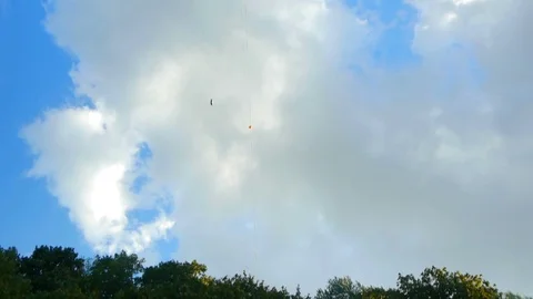 Something flies high in the blue sky, the view from below Stock Footage 81636279