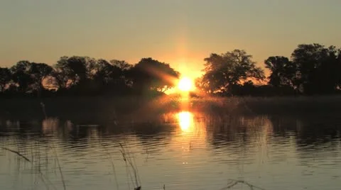 Something is Lurking in the Water! Stock Footage 22385582
