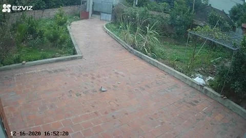 Something Spooky Sneaking Up Driveway, Bac Giang, Vietnam - 16 Dec 2020 스톡 동영상 205326901