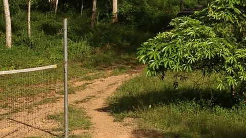 Somewhere in Jambi Stock Footage 84253953