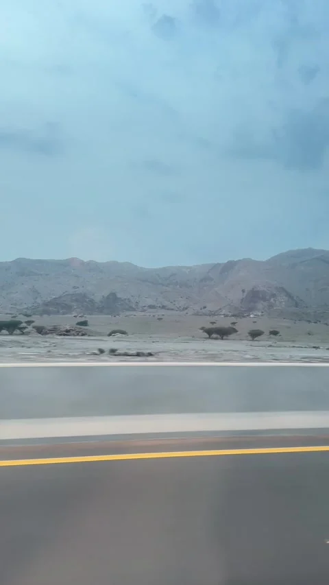 SOMEWHERE TOWARD RAS ALKHAIMA Video stock 327835643