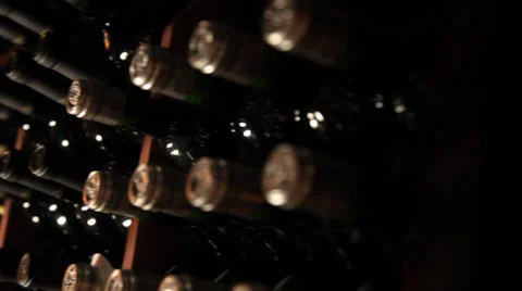 Sommelier choosing wine Stock Footage 35172651