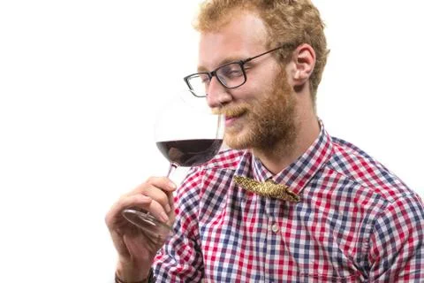 Sommelier examining wine Stock Photos