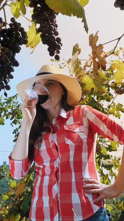 Sommelier. Female farmer or winemaker holds a glass of red wine in her hands, Stock Footage 314116995