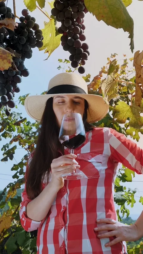 Sommelier. Female farmer or winemaker holds a glass of red wine in her hands, Stock Footage 314327229
