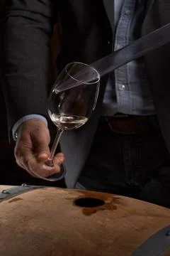 Sommelier makes a selection of red wine from an oak barrel. ecological wine p Stock Photos