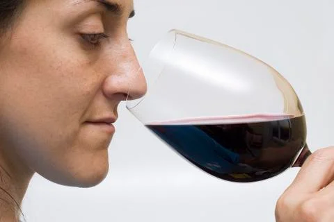 Sommelier tasting wine. Stock Photos