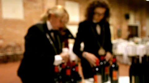 Sommeliers at work. Stock Footage 23535239