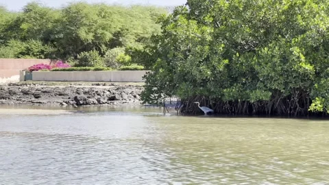 Somone from boat HLG 1 Stock Footage 291985992