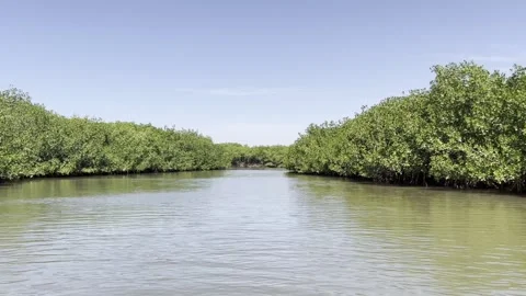 Somone  from boat HLG 2 Stock Footage 291986147